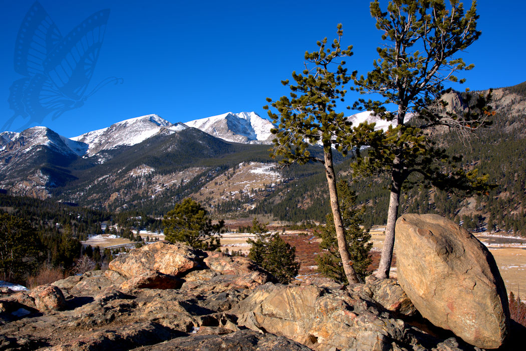 Colorado Mountain View